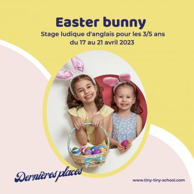 Stage anglais maternelle dernie res places